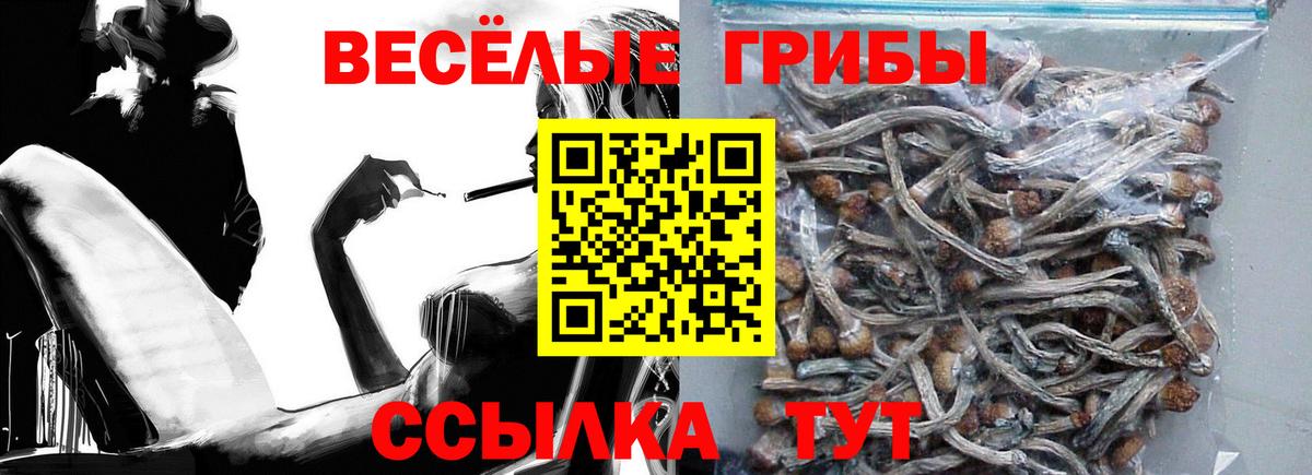 Новоуральск  Псилоцибиновые грибы MAGIC MUSHROOMS  Вход с VPN 