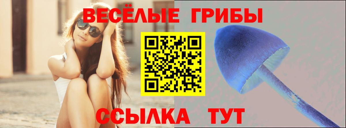 Галлюциногенные грибы Cubensis Новоуральск